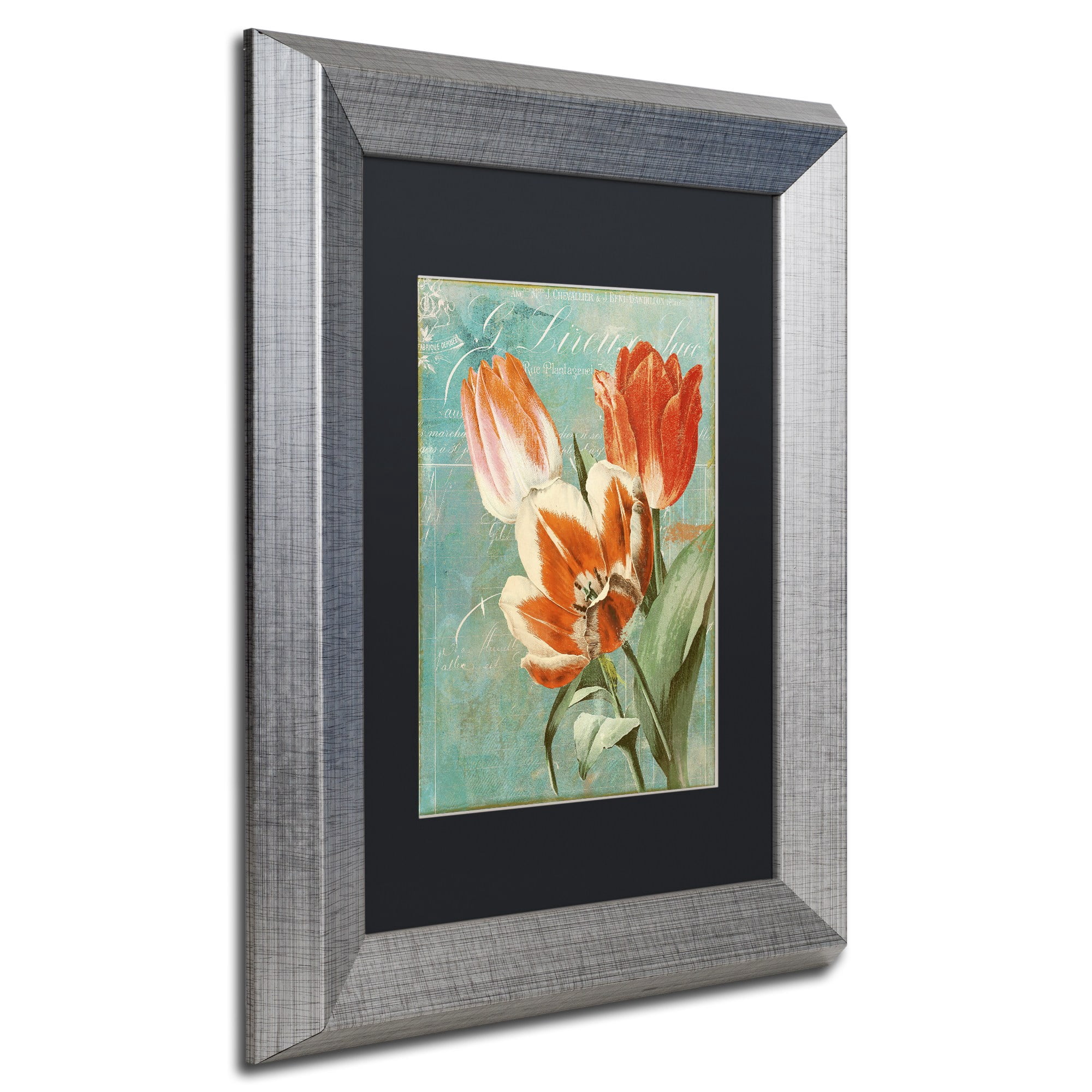 Trademark Fine Art "Tulips Ablaze II" Canvas Art by Color Bakery, Black Matte, Silver Frame