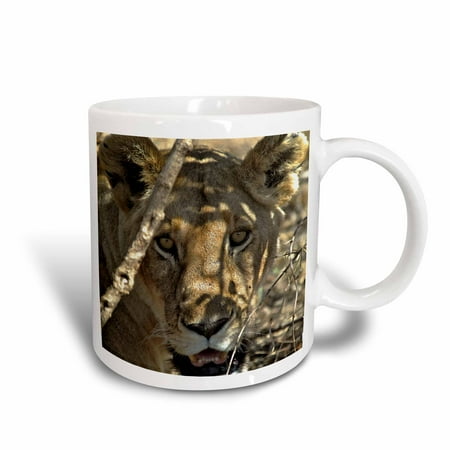 Food Lion Store Mug Food Lion Store Mug