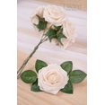 thumbnail image 3 of Rosas artificiales MACTING Real Touch, 30 unidades (crema), 3 of 6