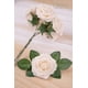 thumbnail image 3 of Rosas artificiales MACTING Real Touch, 30 unidades (crema), 3 of 6