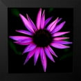 thumbnail image 2 of Leahy, Ike 15x15 Black Modern Framed Museum Art Print Titled - Pink Cone Flower, 2 of 5