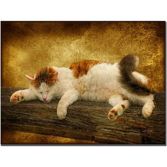 Trademark Fine Art "Sleeping Kitty" Giclee Canvas Art