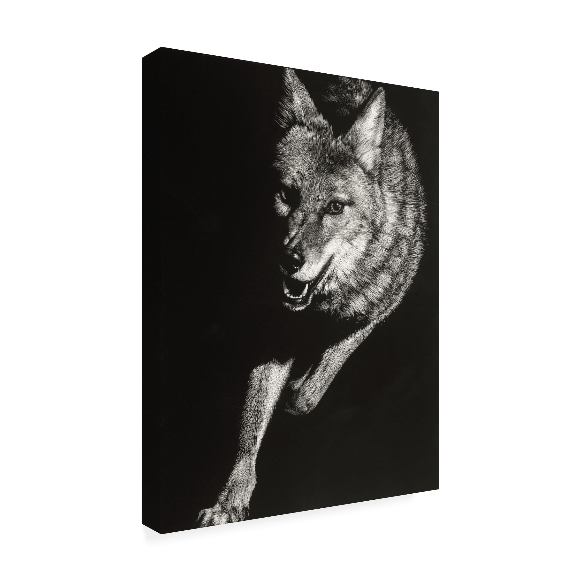 Julie T Chapman 'Wild Scratchboard V' Canvas Art
