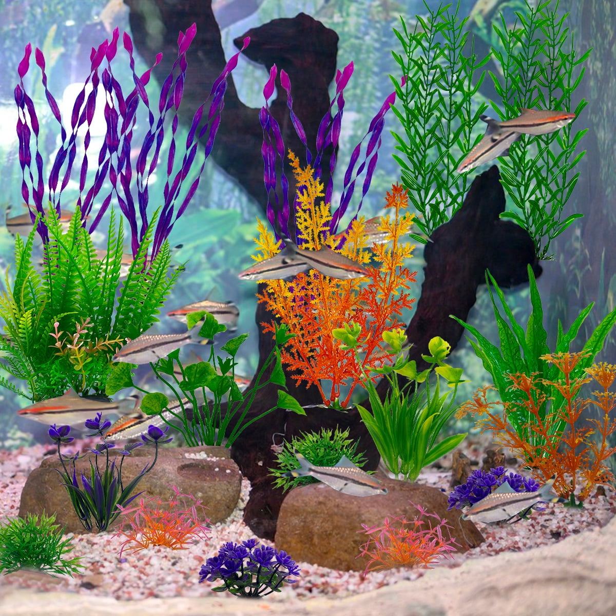 fish tank accessories in sri lanka NQEUEPN Betta Accessories, 2pcs Betta Tunnel & 2pcs Betta Fish Leaf & Round Fish Feeding Ring Fish Toys Betta Fish Natural Habitat Shelter Hideaway Betta Fish Tank Decorations made of high grade material Betta Aquarium Fish Tank Succulent