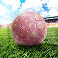 thumbnail image 5 of Yuarrent Voleibol divertido y desafiante para juegos de playa y entrenamiento en gimnasio: superficie antideslizante para apropiado Deportes y aire libre, 5 of 5