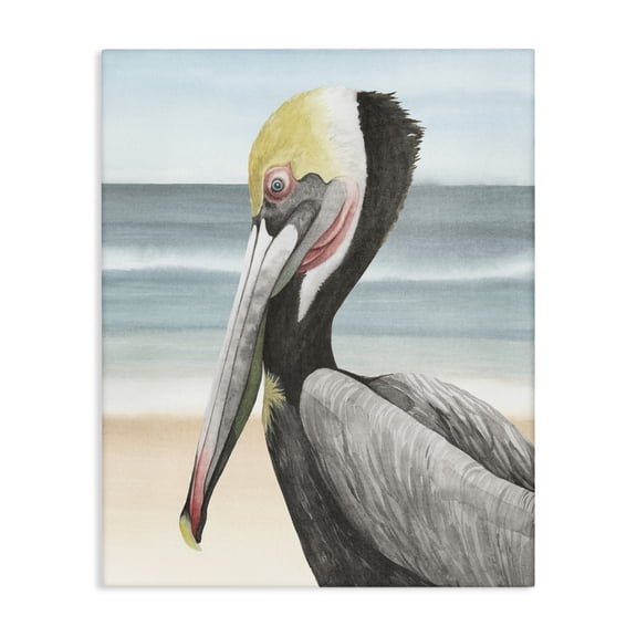 Stupell Industries Tropical Pelican & Coastal Shore Canvas Art, 16 x 20, by Grace Popp