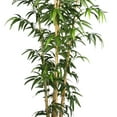 thumbnail image 4 of Vintage Home Artificial Faux 84'' Tall Bamboo Tree And Natural Poles in Eco Planter, 4 of 5