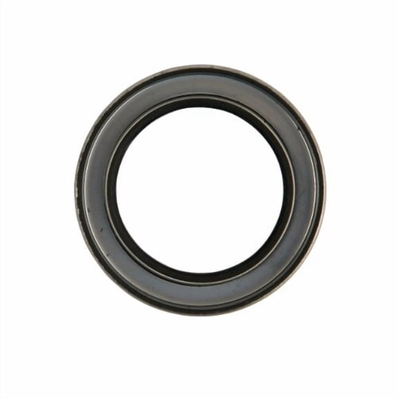 Scotsman Lip Seal