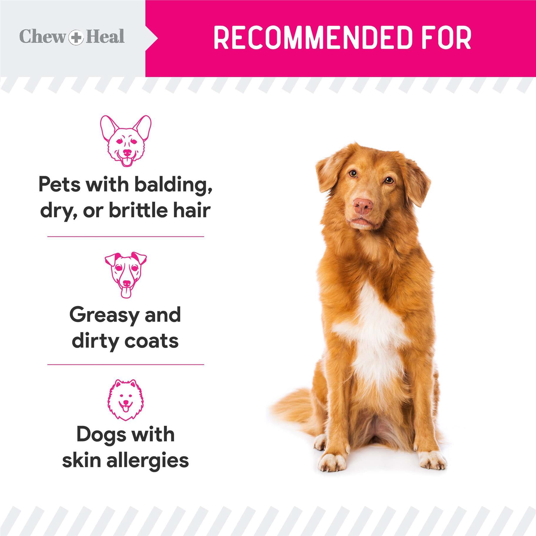 Chew + Heal Omega Powder for Dogs, 14 oz - with Omega 3, 6, and 9 Fatty Acids, Biotin, and Vitamin C