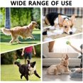 thumbnail image 3 of Squeaky ball for dogs, interactive dog balls with squeakers, soft toys for home, living room, bedroom, 3 of 5