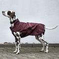 thumbnail image 2 of HORZE Noir Waterproof 1200D Dog Coat Jacket with Bit Print, 2 of 2