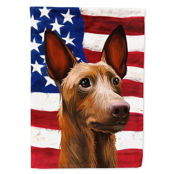 Carolines Treasures CK6643GF Pharaoh Hound Dog American Garden Size Outdoor-Flags, Multicolor