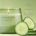 thumbnail image 3 of Yankee Candle Cucumber Mint Cooler Studio Home Decor Scented Candles, 10 oz, 3 of 7
