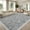 Light Gray, variant on Tzou Floral Washable Area Rug 5x7ft, Non-Slip Vintage Distressed Carpet, Soft Low Pile Indoor Indoor Rug for Living Room, Bedroom & Office – Pet-Friendly & Machine Washable