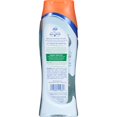 thumbnail image 2 of Dial Gel Douche, Eau de Coco & Mangue, 16 Onces (Lot de 6), 2 of 6