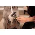 thumbnail image 4 of Cepillo de aseo Bissell FURGET IT 2064A para gatos y perros, color verde, 4 of 4