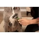 thumbnail image 4 of Cepillo de aseo Bissell FURGET IT 2064A para gatos y perros, color verde, 4 of 4