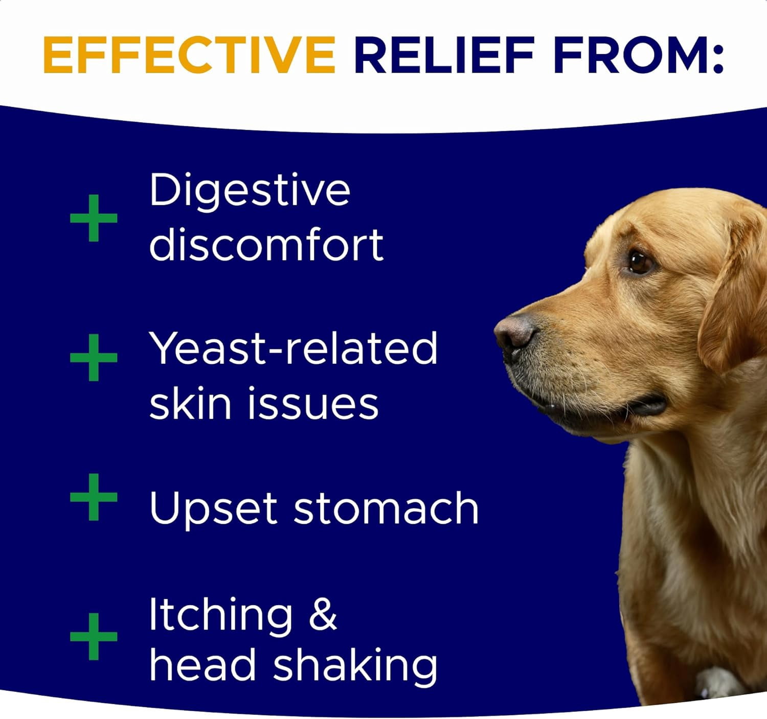 Probiotic & Digestive Enzyme Chews for Dogs - Gut Health, Diarrhea & Allergy Relief - Pumpkin & Omega-3 Prebiotic Supplement