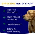 thumbnail image 4 of Probiotic & Digestive Enzyme Chews for Dogs - Gut Health, Diarrhea & Allergy Relief - Pumpkin & Omega-3 Prebiotic Supplement, 4 of 8