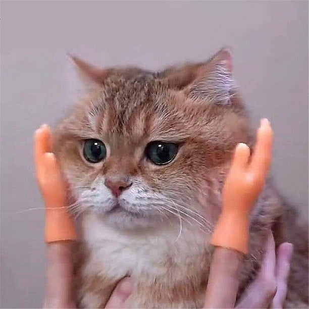 the cat Gloves Funny cat spoof Feet Palms Five fingers Left and