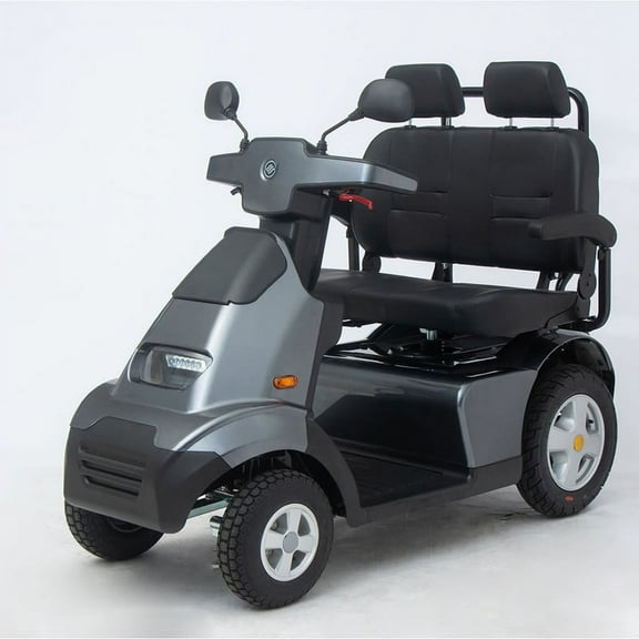 S4 DUO two seat Electric Vehicle by Afikim-Gray-9.3 MPH-550 lbs