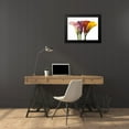 thumbnail image 4 of Frank, Assaf 24x19 Black Modern Framed Museum Art Print Titled - Four calla lilies, 4 of 5