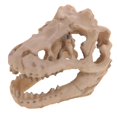 thumbnail image 4 of Resina Dinosaurio Cráneo Acuario Decoración Reptil Pecera Ornamento Decoración Del Hogar, 4 of 5