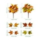 thumbnail image 3 of Paquete de hojas de arce artificiales para Halloween y Acción de Gracias. Decoración para el hogar. Adornos de plantas verdes recortadas. Hojas de arce otoñales., 3 of 8
