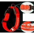 thumbnail image 4 of LED Dog Collar USB Rechargeable Waterproof Adjustable Glow Dog Collar Ultra-Bright Safety Light Glow Collar, 4 of 7