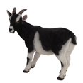 thumbnail image 5 of GOAT STATUE, 5 of 6