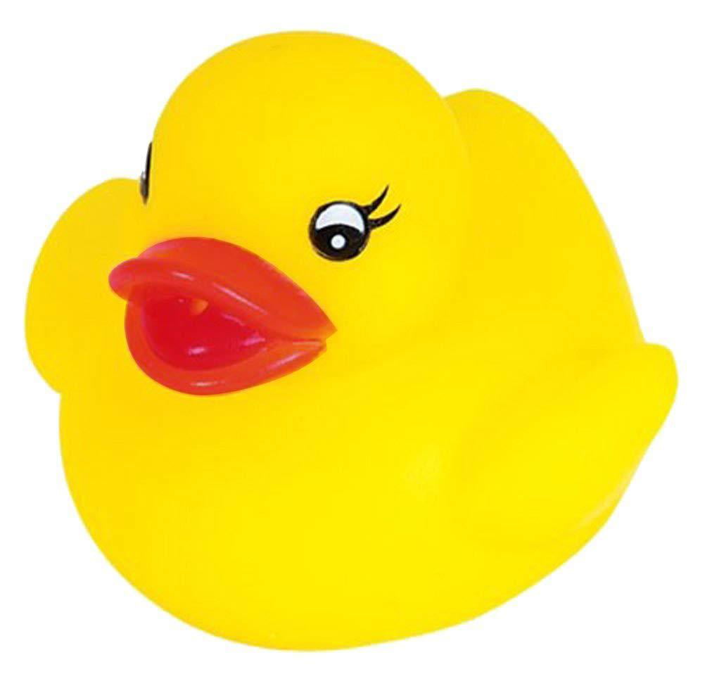 Novelty Place 12 Pcs Float & Squeak Rubber Duck Ducky Baby Bath Toy for Kids Assorted Colors