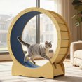 thumbnail image 2 of DIANYVAV 42" Indoor Cat Exercise Wheel, Quiet Sturdy Solid-Wood Treadmill with Removable Carpeted Runway, Large Running Wheel for Walking & Cat Training, 2 of 14