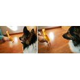 thumbnail image 4 of TRADE Juguete para Perro de Pollo de Goma Chirriante y Duradero con Cuatro Patas, 4 of 5