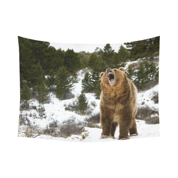 ABPHQTO Roaring Grizzly Brown Bear Tapiz Horizontal Colgante de pared Animal salvaje Winter Hill Decoración de pared Arte para sala de estar Dormitorio Dormitorio Algodón Lino Decoración 150x200 cm ABPHQTO QB-Interest143-80x60