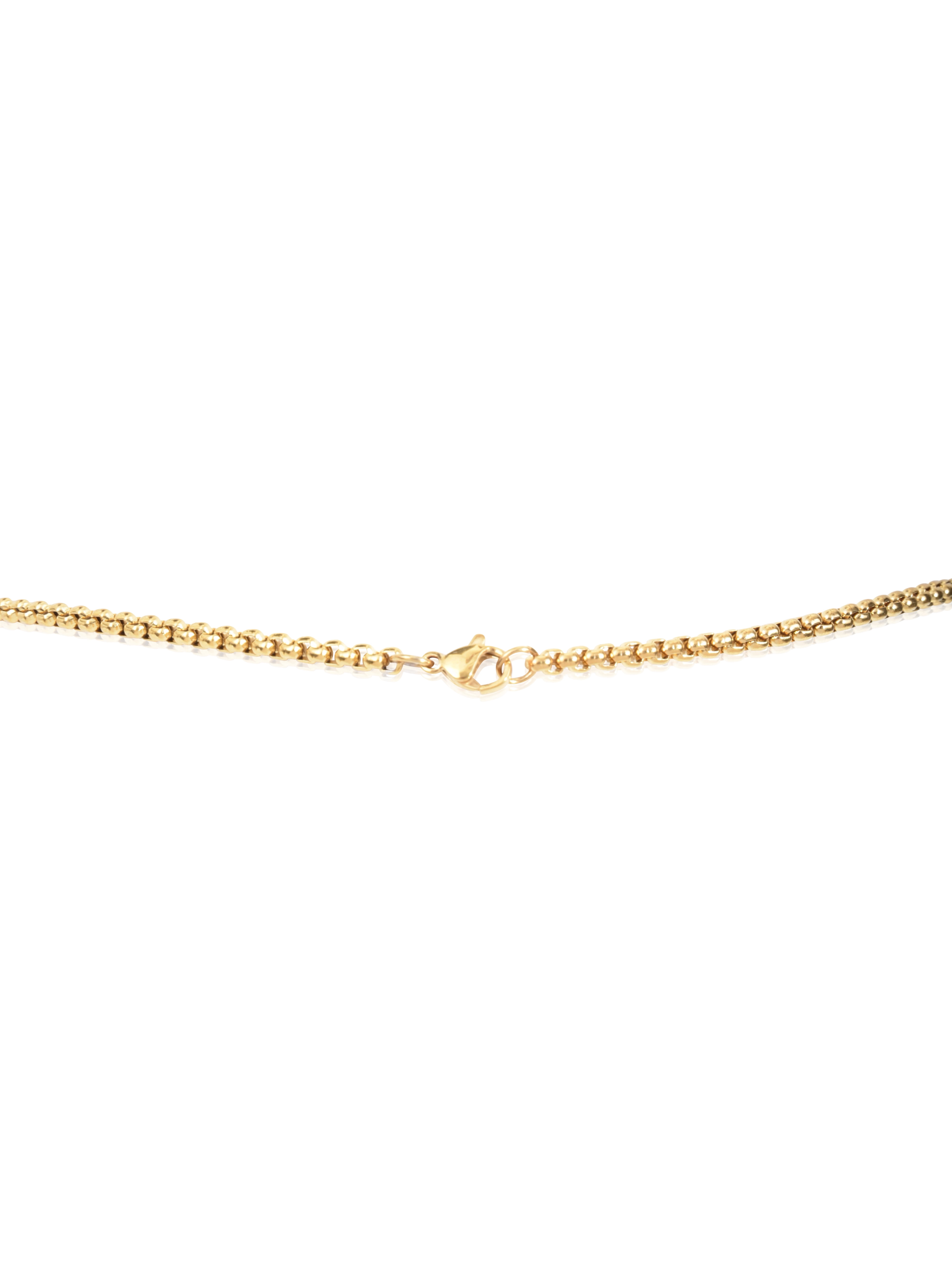 Ed Jacobs Gold Stainless Steel Skull 24" Necklace