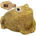 thumbnail image 1 of CNKOO Ladybug Spare Keys Hider Outdoor Weatherproof Key Hiders for Garden Outdoor(Frog), 1 of 5