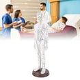 thumbnail image 1 of Acupuncture Model, 20.47in PVC Human Body Professional Acupuncture Doll with Base for Student Teaching Demonstration, High Definition Engraving, 1 of 7