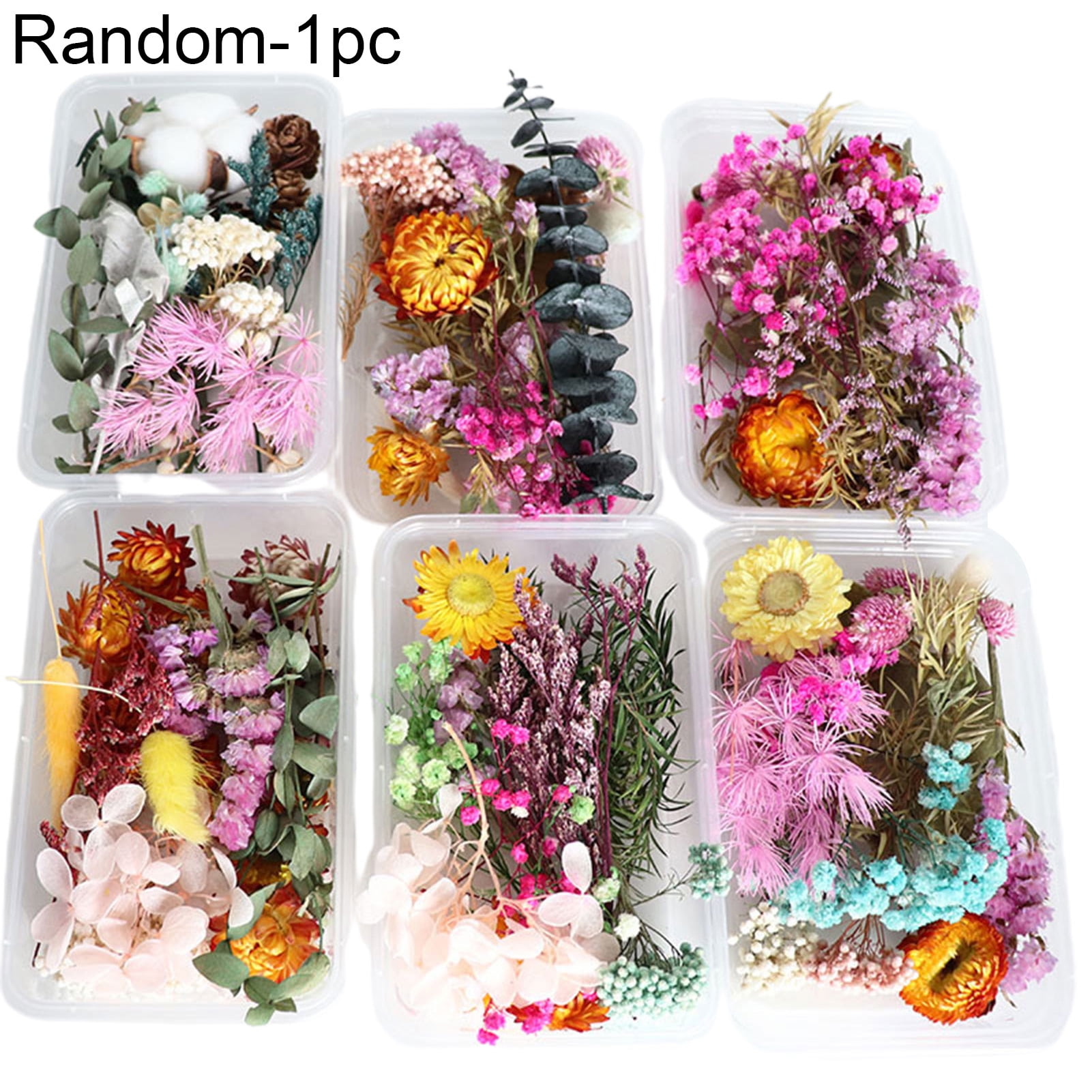 1PC Real Dried Flower Dry Plants For Aromatherapy Candle Epoxy Resin PendantFRFR 
