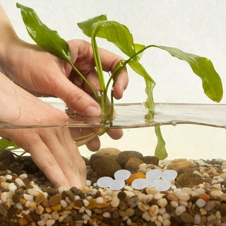 UPOUART 100 Pieces Polished Gravel Stones Natural Decorative Rocks for Outdoor Garden Decoration