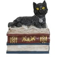 thumbnail image 5 of Magic Wiccan Boîte de Décoration de Figurines en Résine de Chat Noir, 5 of 5