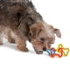 thumbnail image 2 of Juguete de Goma para Tirar y Morder Petstages Verde para Perros Pequeños, 2 of 6