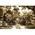 thumbnail image 2 of Hausenflock, Alan 32x23 Gold Ornate Wood Framed with Double Matting Museum Art Print Titled - Druid Oaks II, 2 of 4
