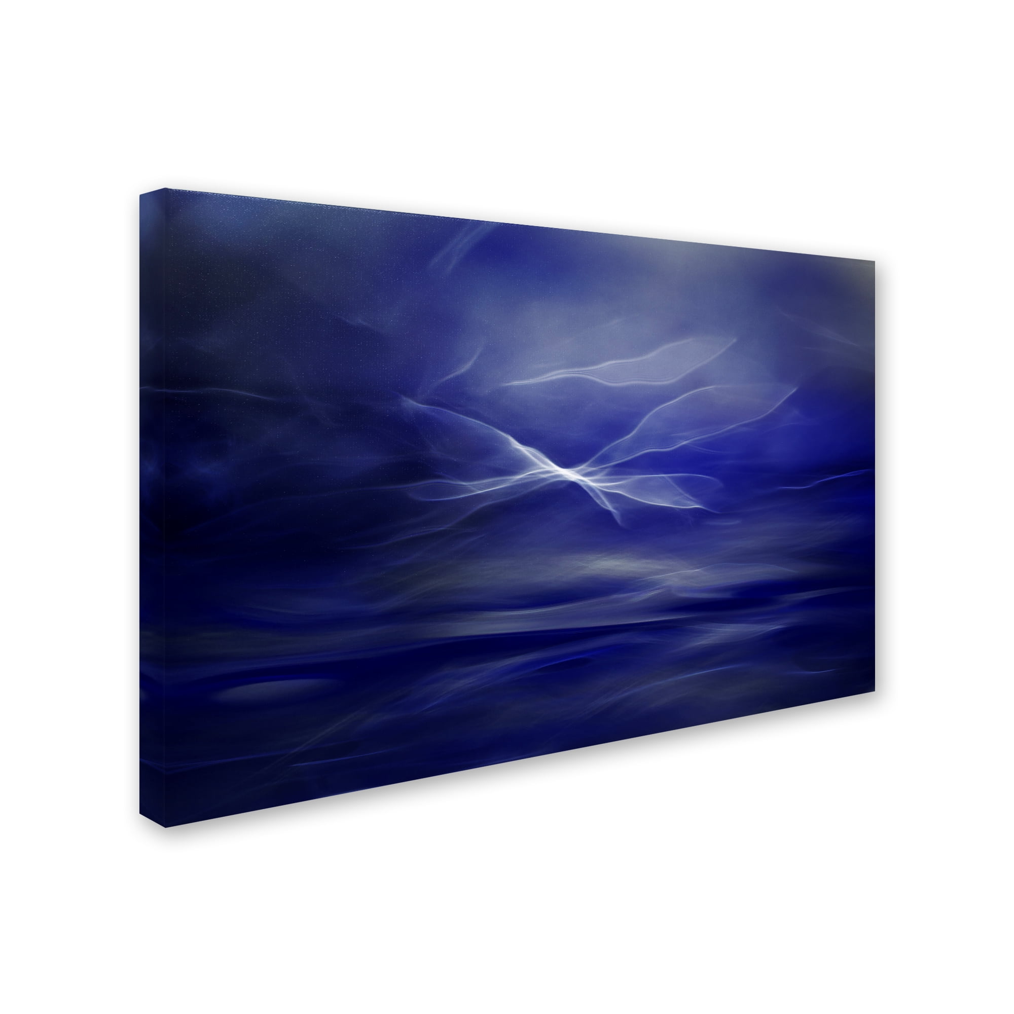 Trademark Fine Art 'Flight Of The Fairies' Canvas Art by Willy Marthinussen