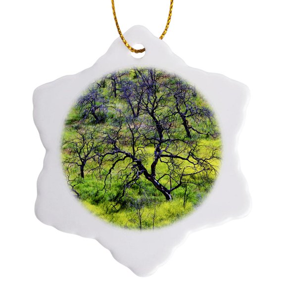 3drose, California, San Diego, Oak Forest in Cleveland Nf - Us05 Bja0330 - Jaynes Gallery, 3 inch Snowflake Porcelain Ornament