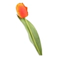 thumbnail image 3 of Opvise Lifelike 37cm Artificial Tulip Stems - Faux Silk Flowers for Home Decor, Weddings, Spring Parties, Reusable Vibrant Floral Arrangements Orange, 3 of 8