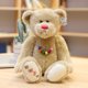 thumbnail image 1 of Nueva pareja de osos de peluche, muñecas de juguete de tela, regalo de Navidad de cumpleaños de buena calidad para niños y niñas zhangmengya LED, 1 of 1