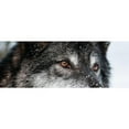 thumbnail image 2 of CafePress - Beautiful Grey Wolf Mugs - 11 oz Ceramic Mug - Novelty Coffee Tea Cup, 2 of 4