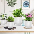 thumbnail image 2 of Set of 5 Plastic Plant Pots, 10 9 8 7.5 7 Inch Flower Planters with Drainage & Saucers, White, 2 of 6
