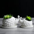 thumbnail image 3 of FNNMNNR Ceramic Succulent Pot Hedgehog Shaped Mini Flower Pot Plant Container for Home Office Decoration, 3 of 10