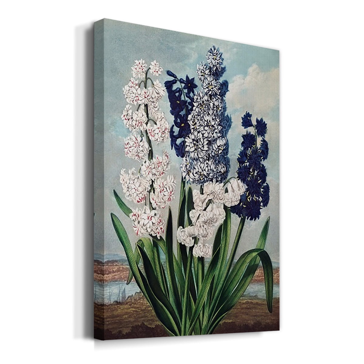 Temple of Flora XII Premium Gallery Wrapped Canvas - Ready to Hang